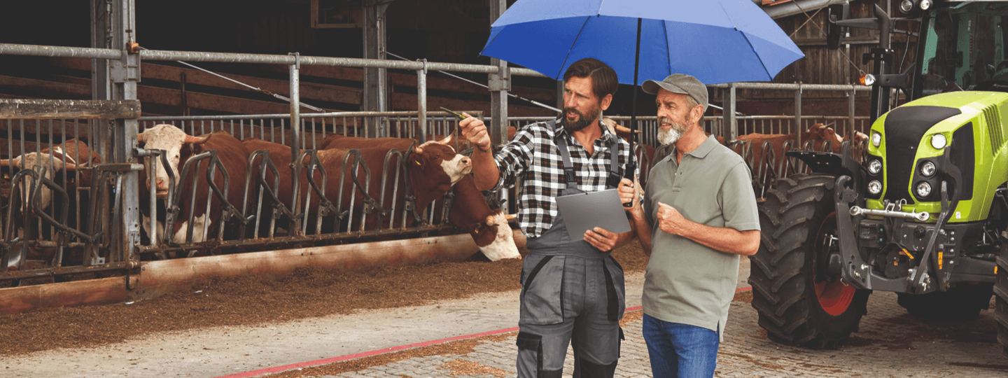 Zwei Landwirte unter dem blauen Schutzschirm in einem Kuhstall